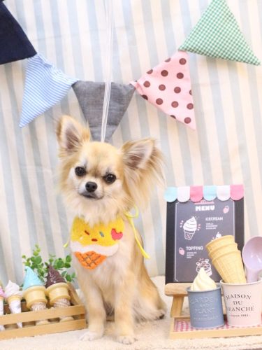 20250522ぽんくん